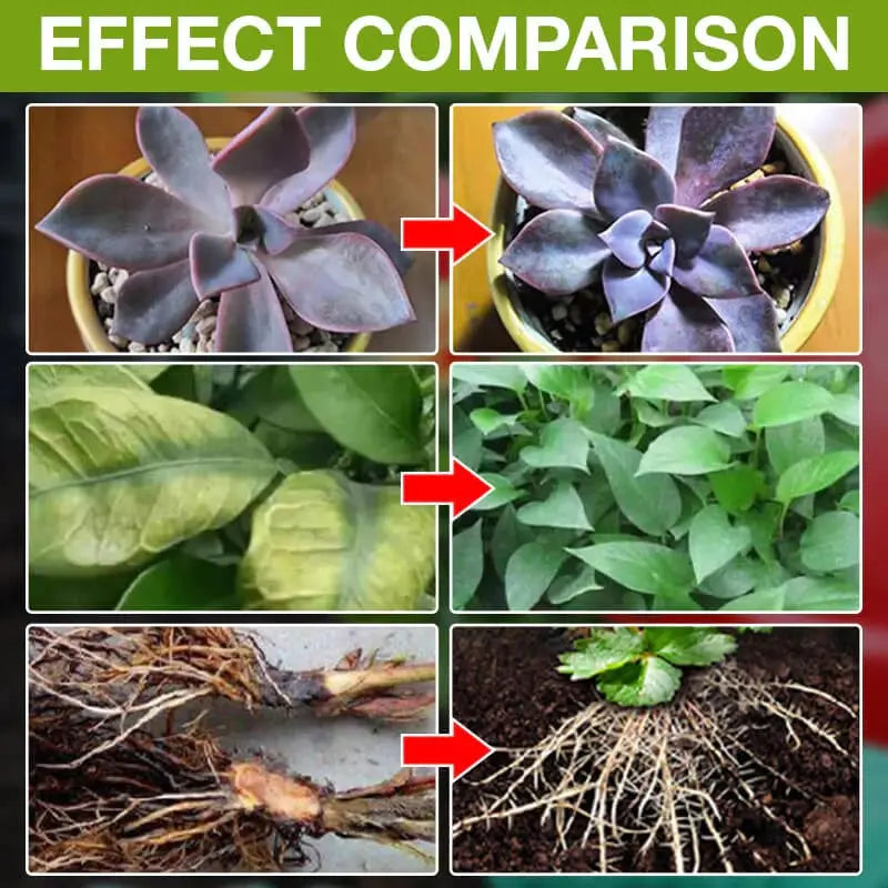 Natural growth for your plants – buy 1, secure 1!