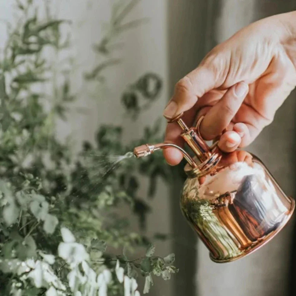 Gold Plant Spray Bottle