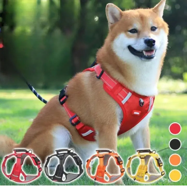 No-Pull Dog Harness with Reflective Nylon