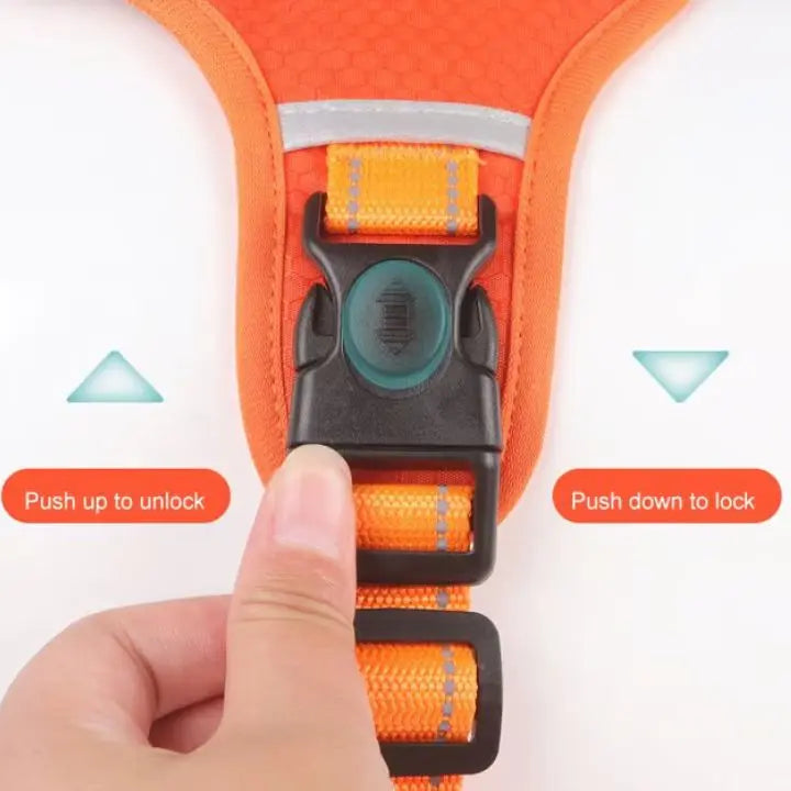 No-Pull Dog Harness with Reflective Nylon