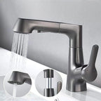 Vanity faucet with swivel, pull-out hand shower