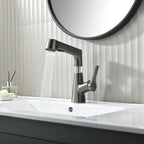 Vanity faucet with swivel, pull-out hand shower