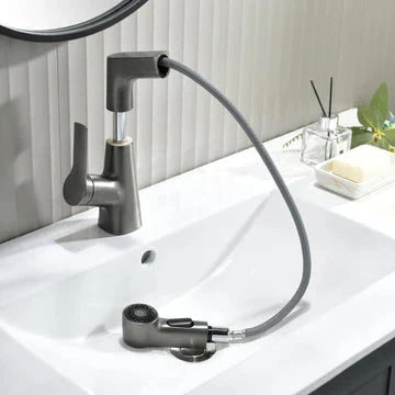 Bathroom Faucet With Rotating Retractable Hand Shower