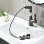Vanity faucet with swivel, pull-out hand shower