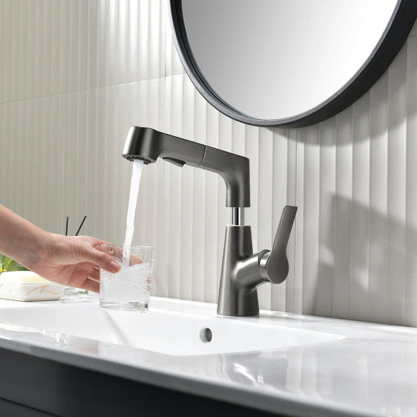 Vanity faucet with swivel, pull-out hand shower