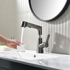 Bathroom fixture with rotating retractable hand shower