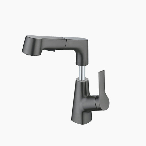 Vanity faucet with swivel, pull-out hand shower