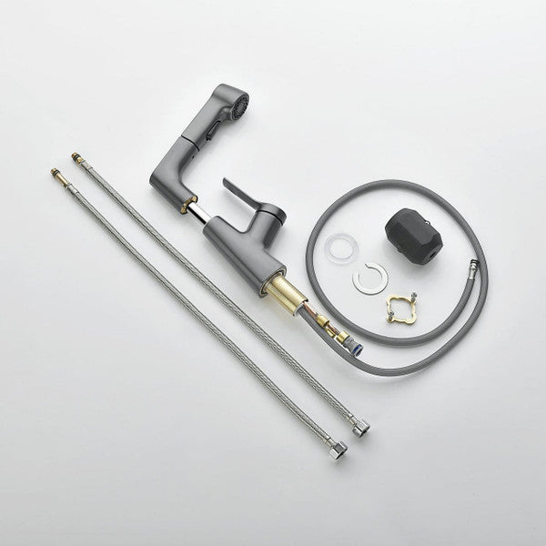 Vanity faucet with swivel, pull-out hand shower