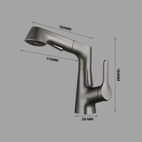Vanity faucet with swivel, pull-out hand shower