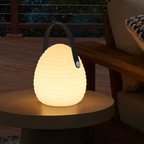 Rechargeable LED Outdoor Hanging Light with Remote