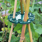 Plant support ring for bamboo poles – Stable climbing aid for tomatoes and climbing plants