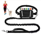 PawsFree Pro – Enjoy stress-free walks with your dog