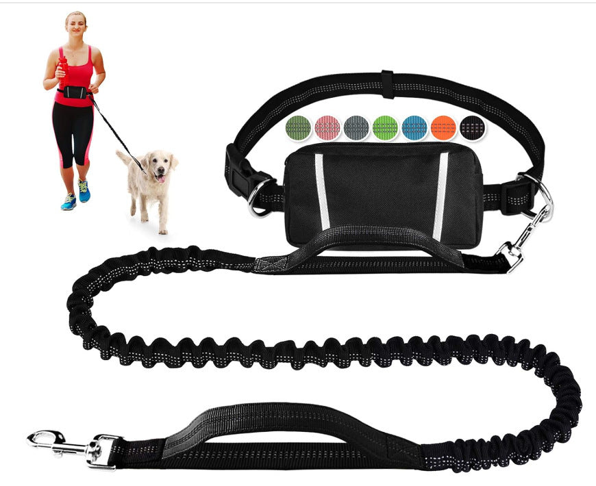 PawsFree Pro – Enjoy stress-free walks with your dog
