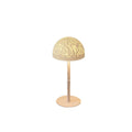 Viral Creative Decorative Bedside Table Lamp, LED Remote Atmosphere Night Light