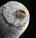 Air-tight Coffee Container made of Ceramic