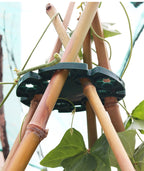 Plant support ring for bamboo poles – Stable climbing aid for tomatoes and climbing plants