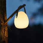 Rechargeable LED Outdoor Hanging Light with Remote