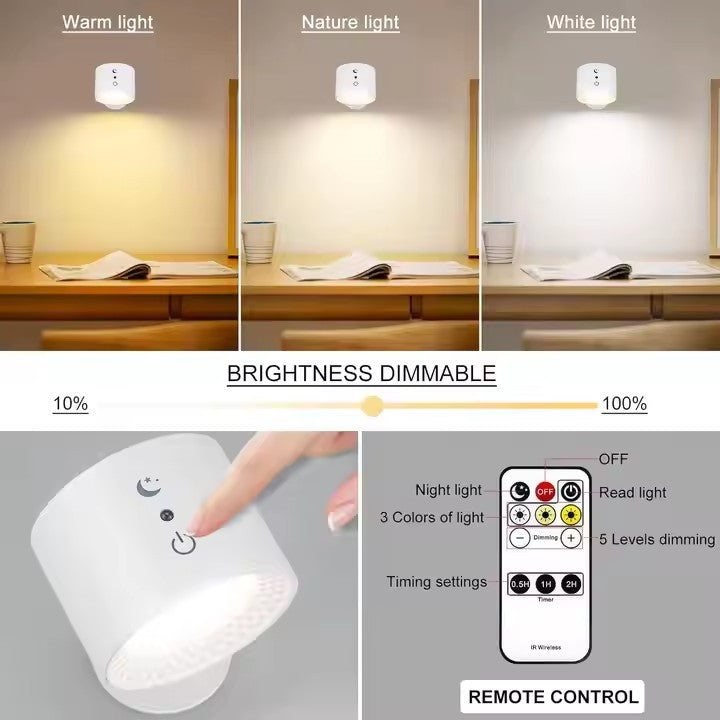 LED Wall Mounted Lights