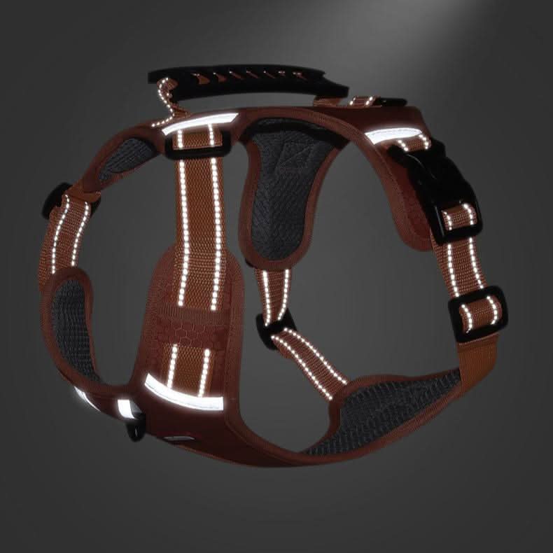 anti-pull dog harness for pain-free walks
