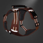 anti-pull dog harness for pain-free walks