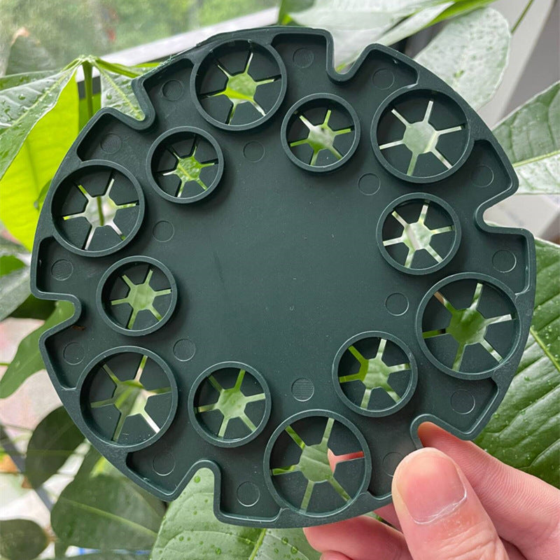 Plant support ring for bamboo poles – Stable climbing aid for tomatoes and climbing plants
