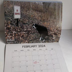 Funniest Calendar-Dogs Pooping in Beautiful Places | "Artistic Expression" of Furry Friends