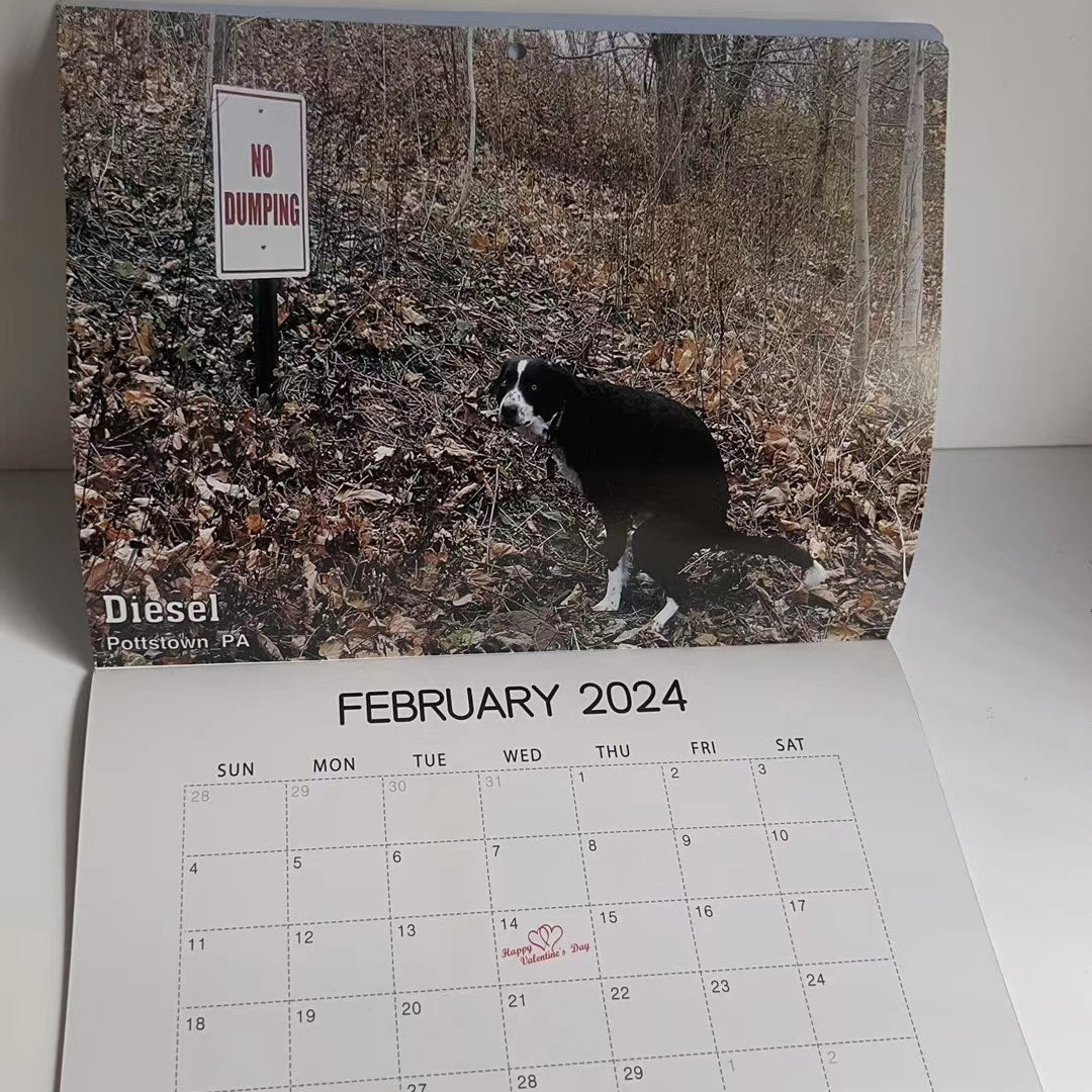 Funniest Calendar-Dogs Pooping in Beautiful Places | "Artistic Expression" of Furry Friends