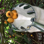 Fruit picking basket – Lightweight & with interchangeable bag (16 cm head)