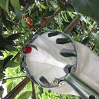 Fruit picking basket – Lightweight & with interchangeable bag (16 cm head)