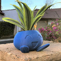 Plant Pot – Ceramic Flower Pot with Face for Small Plants
