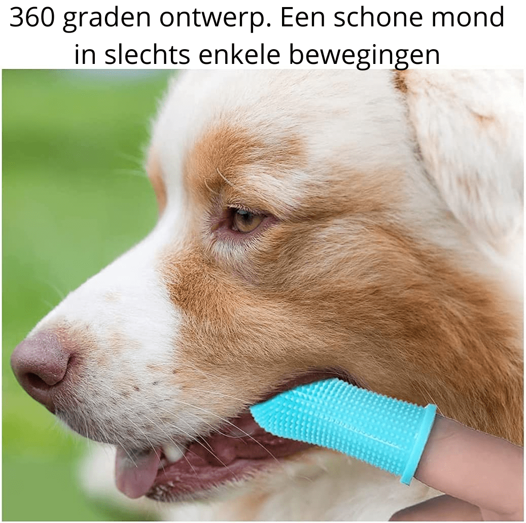 PAWCLEAN PRO – 360° Silicone Finger Toothbrush for Stress-Free Dental Care for Dogs