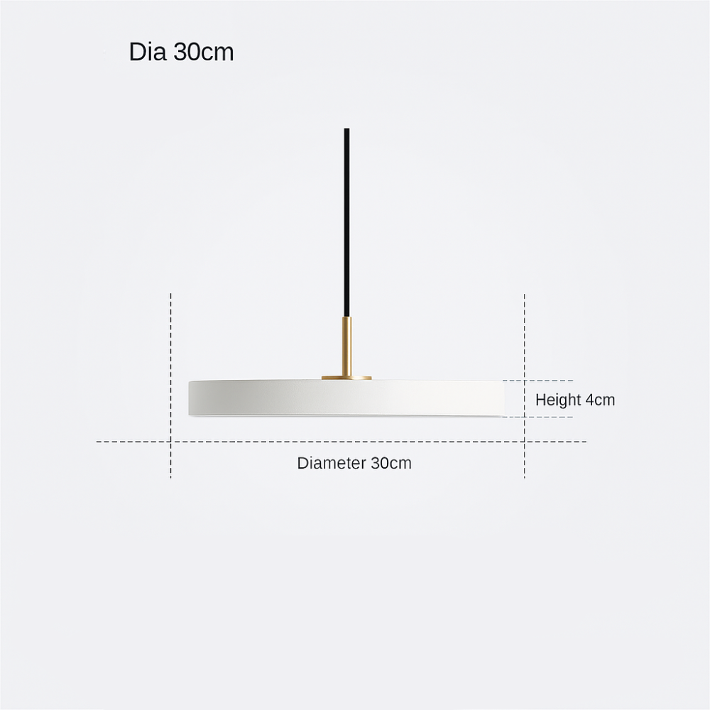 Round LED Pendant Lamp Modern Minimalist