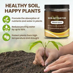 Organic Soil Activator for Robust Plant Growth