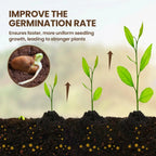 Organic Soil Activator for Robust Plant Growth