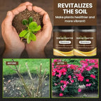 Organic Soil Activator for Robust Plant Growth