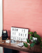 Original Light Box