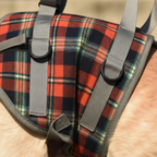 Orthopaedic hind leg harness - PawRelief