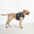 Orthopaedic hind leg harness - PawRelief