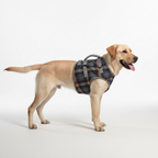 Orthopaedic hind leg harness - PawRelief