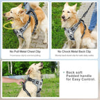 Reflective, breathable dog harness for small and large dogs