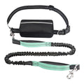 Padded, Hands-Free Dog Leash for Training & Walks