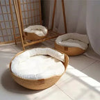 Eco-friendly cat sofa with breathable cotton design