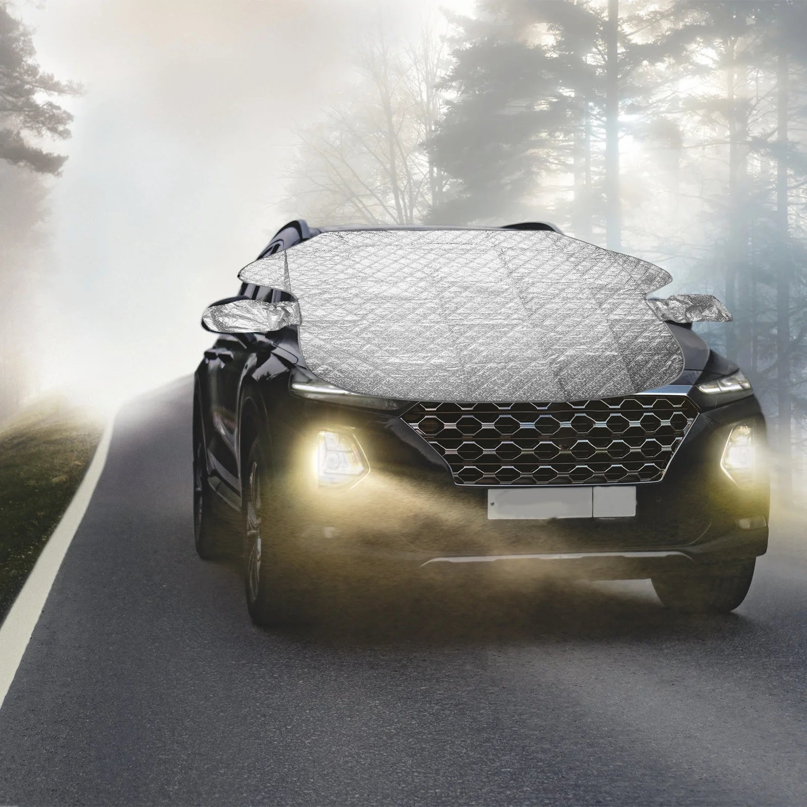 Premium - Windshield frost protection