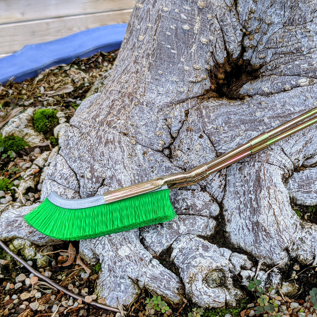 Nylon brush for bonsai trunk area cleaning – garden care tool