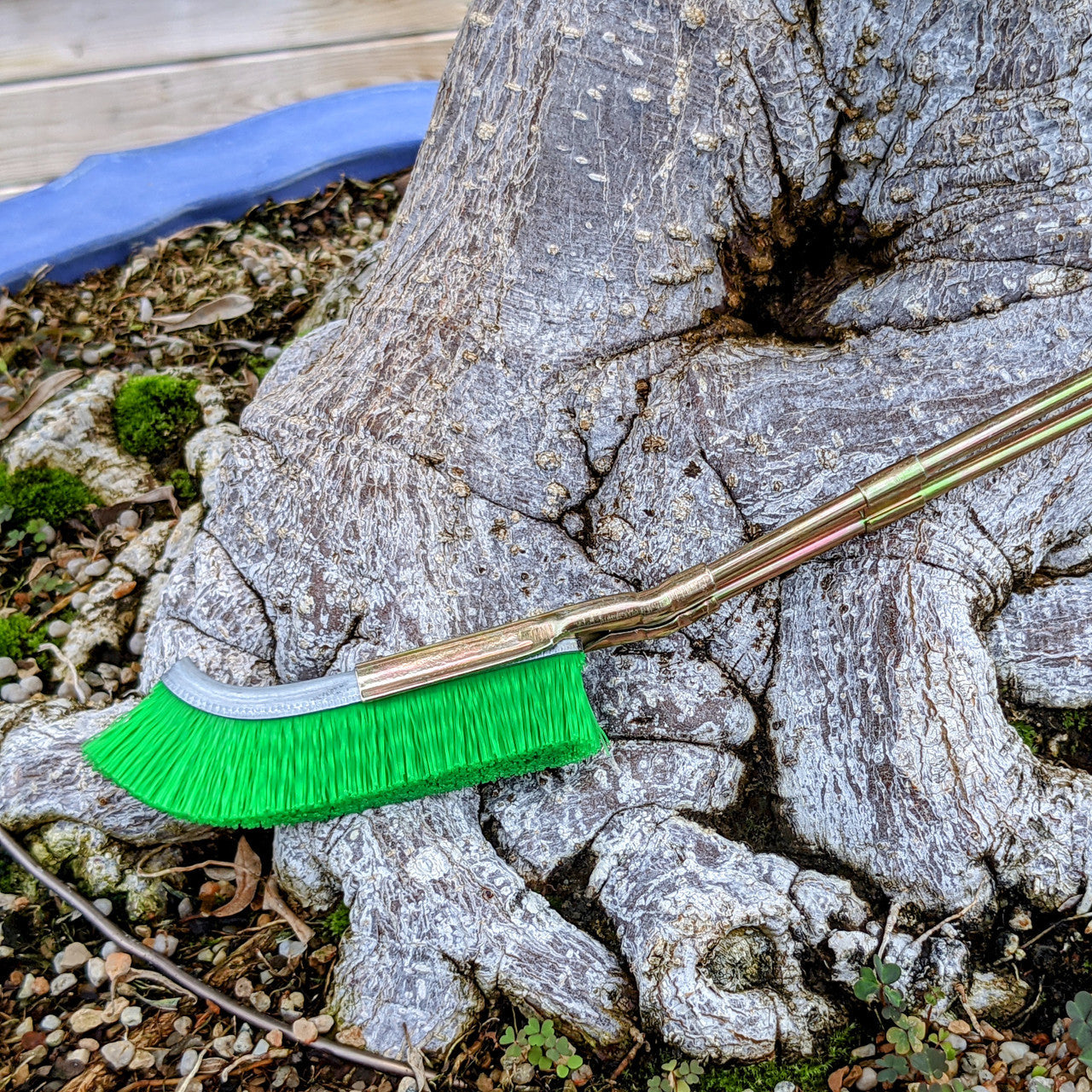 Nylon brush for bonsai trunk area cleaning – garden care tool