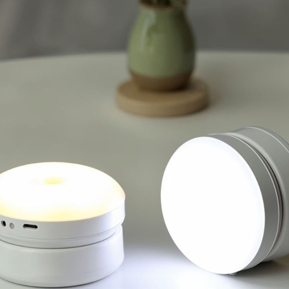 Indoor LED Motion Sensor Wall Light