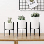 Pack of 3 mid-century floral planters