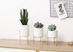 Pack of 3 mid-century floral planters