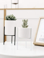 Pack of 3 mid-century floral planters