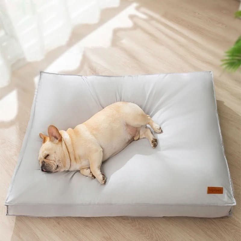 Orthopedic Dog Bed Washable from Memory Foam, Waterproof and Scratch Resistant